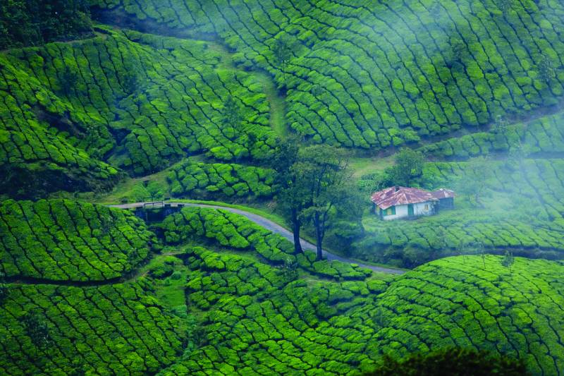 kerala tour package 4 Night 5 Day